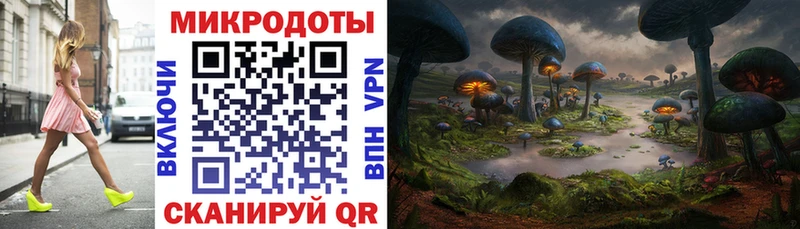 купить наркотик  Новая Усмань  Галлюциногенные грибы Psilocybe 